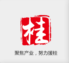 聚焦產(chǎn)業(yè)，努力援桂